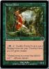Forest Scout